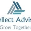 Intellect Advisors Private Limited logo - Similar company to Arthabrikshya Management Nepal