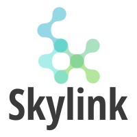 Sky Link logo - Similar company to Skyline Logistics