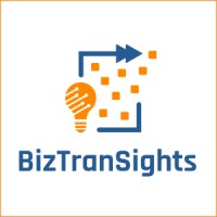 BizTranSights logo - Similar company to Krg Technologies Inc.