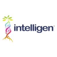 Intelligen.pe logo - Similar company to Ingerea Sas