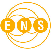 Entwicklungspolitisches Netzwerk Sachsen e.V. logo - Similar company to Imib - Initiative Für Mehrsprachigkeit Und Interkulturelle Bildung E.V.
