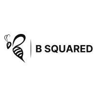B (SQUARED) COMMUNICATIONS logo - Similar company to B Squared