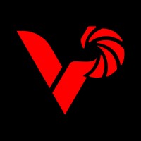 Vzion Productions logo - Similar company to Mirror Media