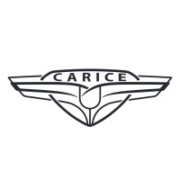 Carice Cars logo - Similar company to Vfa Solutions