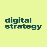 Digital Strategy Malaysia logo - Similar company to Checkin Malaysia