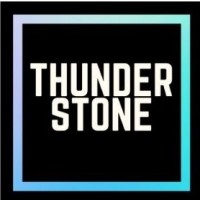 Thunderstone Fintec Pvt. Ltd. logo - Similar company to Mindtomarket Hub
