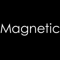 Magnetic logo - Similar company to Xlead