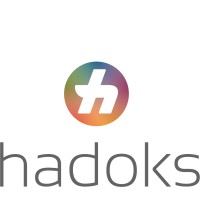 Hadoks, Haaglandse dokters logo - Similar company to Andy Vinkenborg