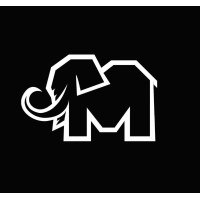 Mammoth Talent logo - Similar company to The F2 Academy