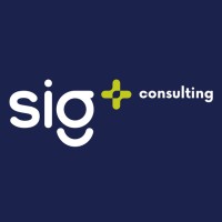 SIGmas Consulting logo - Similar company to Servinse Srl