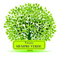 Vivero Siempre Verde logo - Similar company to Imperio Construye