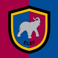 Silver Elephant Mining Corp. logo - Similar company to Nevada Vanadium Mining Corp.