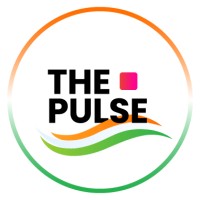 The Pulse India logo - Similar company to Vigimandal