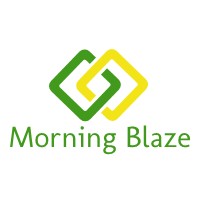 Morning Blaze logo - Similar company to Thinksoft Digital Solution