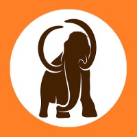 Mammut Services