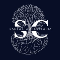 Santos Consultoria logo - Similar company to Digital Info Design