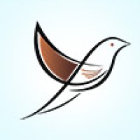 Volga Tigris Digital Marketing Agency logo - Similar company to V Digitalx - Digital Marketing Agency In Dubai