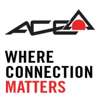 ACE Supplies UK Ltd logo - Similar company to Provesa