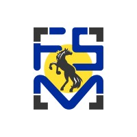 FSM Online LTD logo - Similar company to Luxury Living Technologies Ltd