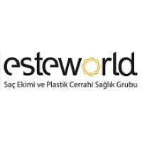 Esteworld İnsan Kaynakları logo - Similar company to International Aesthetic Academic Institution (Iaai)