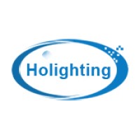 Holighting Electronics logo - Similar company to Yusing
