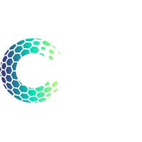 Owercome Technology logo - Similar company to Prana Hr Danışmanlık