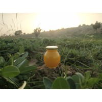 Muditam logo - Similar company to Muditam Ayurveda