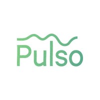 Pulso Consultora logo - Similar company to Itg Itacare Group Real Estate