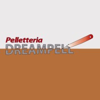 Pelletteria DREAMPELL Srl logo - Similar company to Pelletteria Fiorentina Montecristo Srl