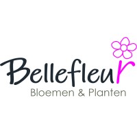 Bellefleur Bloemen en Planten logo - Similar company to Tpg - Travel Professional Group