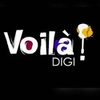 Voila Digi Private Limited logo - Similar company to Gta Films Toronto