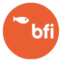 Bfi (Big Fish Internet)