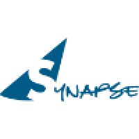 Synapse Advisory Ventures (P) Limited