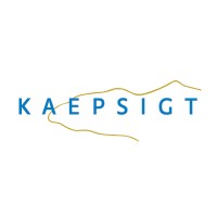 Kaepsigt Bv