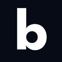 bushido logo - Similar company to Excelsior Integrated