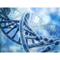 Horizon Genetics logo - Similar company to The National Laboratory Of Genetics • გენეტიკის ეროვნული ლაბორატორია
