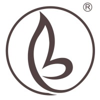 Bravour® logo - Similar company to Sendix