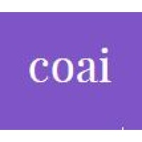coai logo - Similar company to Vibe Coders