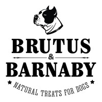 Brutus & Barnaby logo - Similar company to Willow & I