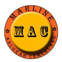 MAC Tax and Accounting Registered Consultant logo - Similar company to Viapulsa