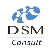 DSM CONSULT logo - Similar company to Isoleaz