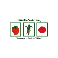 Bush-N-Vine logo - Similar company to Leger & Son, Inc.