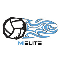 Michigan Elite Volleyball Academy logo - Similar company to Star Behavior Consultants, Llc