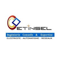 ETINSEL logo - Similar company to Epsilys
