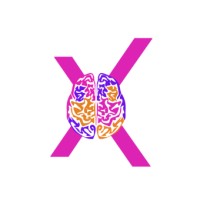 Mind Xperts Academy logo - Similar company to Flavalon Group