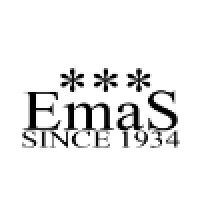 EmaS Watches Since 1934 logo - Similar company to Resnovae Digitech