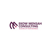 Ekow Mensah Consulting logo - Similar company to The African Network Of Entrepreneurs (Tanoe)