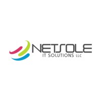Netsole IT Solutions logo - Similar company to Bonario Technologies