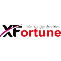 XFortune Tours & Travels logo - Similar company to Artio.Art