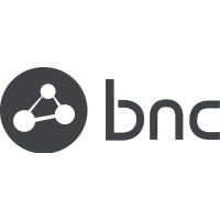 Business Network Consulting - BNC logo - Similar company to Cr Computer
